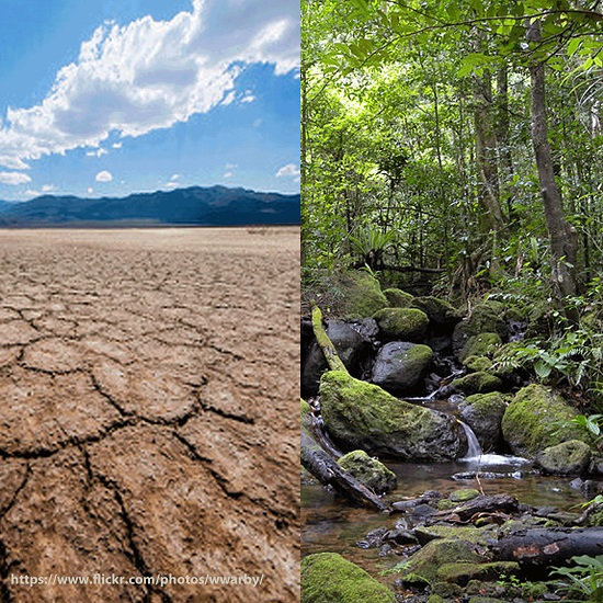 Life Without Water Busty Milf Interracial